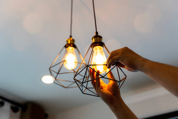 Best Electric Panel Repair  in Chaska, MN